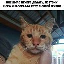 ���� ������, ��������� - ��������� 18 ������� 2019 � ������ ������ ��������