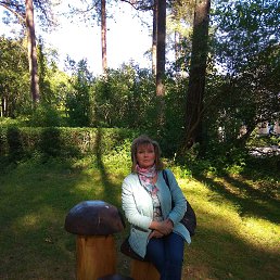 , 62, -