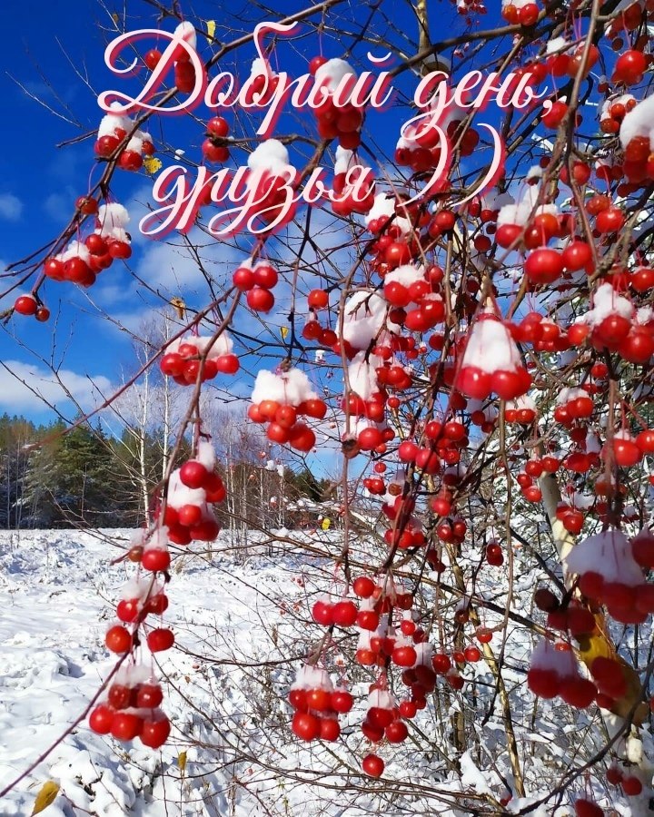   ,    . - 12  2019  01:01