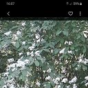 ���� ������, ���������, 45 ��� - ��������� 1 ������ 2020