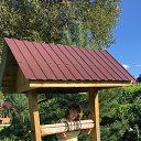 ���� �������, ����� - ��������� 11 ������� 2019 � ������ ����� 2019�