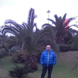 ���� �������, �������, 52 ���� - ��������� 15 ������� 2019