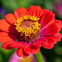  , , 52  -  11  2019     2019