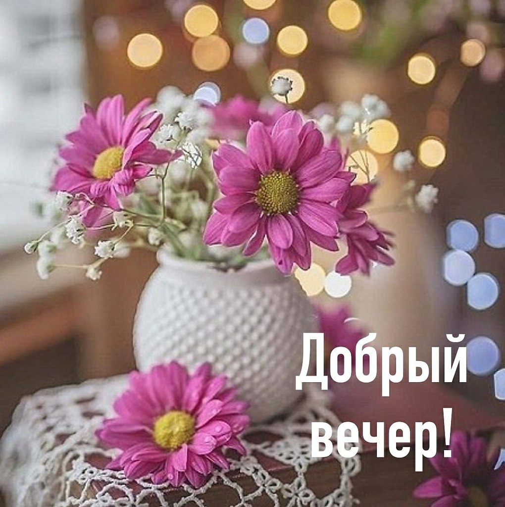   ,    . - 17  2019  17:41