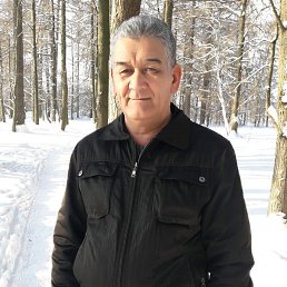 �����, ������, 65 ���