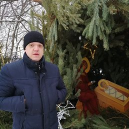 ���� ���������, ������, 34 ���� - ��������� 29 ������� 2019