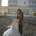 ���� �����, ������������, 55 ��� - ��������� 21 ���� 2019 � ������ ����� � �����