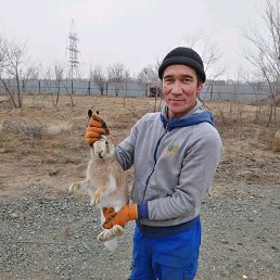 ������, �������, 33 ����