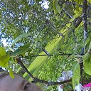 ���� Elena, �����-���������, 62 ���� - ��������� 6 ���� 2019 � ������ ���� ����������