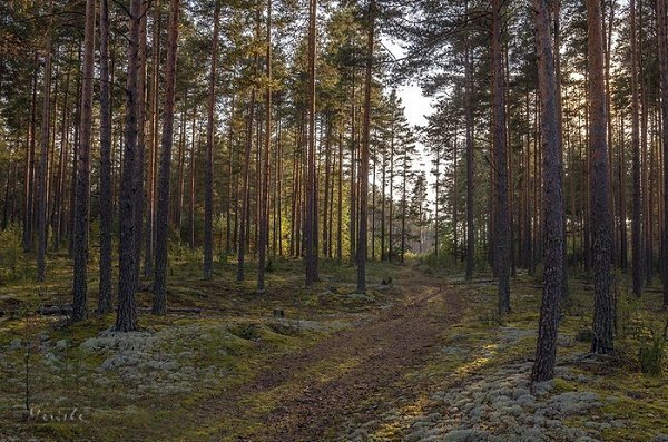 Boooa oa. aoa a aoa. - 5