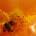  , , 50  -  1  2019   1 2019