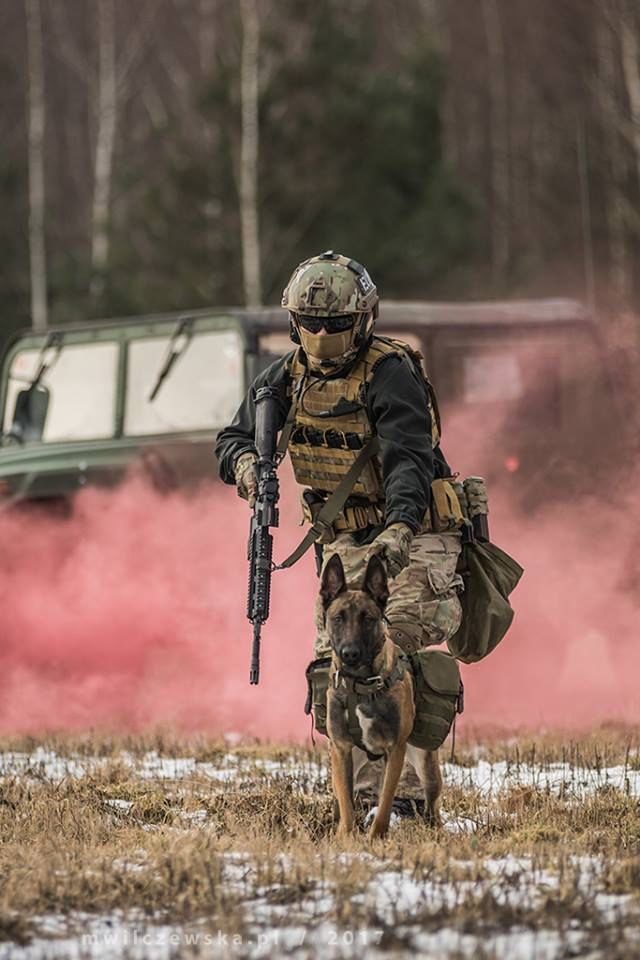 ��������� ������. - 37