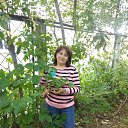 ���� �������, �����, 51 ��� - ��������� 9 �������� 2019 � ������ ���� ����������