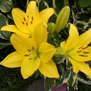 ���� �����, �����������, 69 ��� - ��������� 11 ���� 2019 � ������ ������ ��������