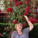 ���� ����, ��������� - ��������� 2 ���� 2019 � ������ ���� ����������