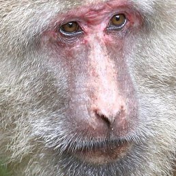 ���� �����, ����, 43 ���� - ��������� 13 ��� 2019