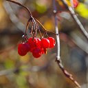 ���� Evgenyi, ���������, 59 ��� - ��������� 19 ������ 2019 � ������ ���� ����������