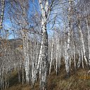 ���� ������, ��������� - ��������� 15 ������� 2019 � ������ ���� ����������