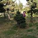 ������ 2019�.(����)