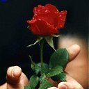 ���� �������, �����������, 50 ��� - ��������� 8 ������ 2019 � ������ ������