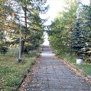  , , 68  -  22  2019    2019