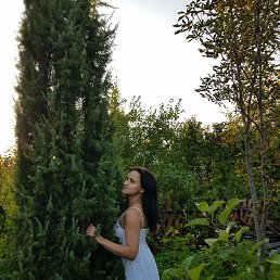 ���� ������, ������ - ��������� 25 ������� 2019