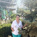 ���� ���������, ����, 72 ���� - ��������� 8 �������� 2019 � ������ ���� ����������