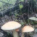 ���� 89147794753�������, ���������, 59 ��� - ��������� 10 ���� 2019 � ������ ���� ����������