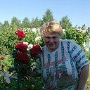 ���� ����� �������, ������ ��������, 61 ��� - ��������� 15 ���� 2019