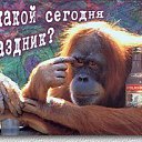 ���� �������� 54, ����������� - ��������� 30 ������ 2019 � ������ ���� ����������