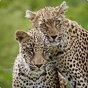 ���� �����, �����-���������, 46 ��� - ��������� 2 ������ 2019 � ������ ������� ������