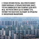 ���� �����, �������������� - ��������� 19 ���� 2019 � ������ ������ ��������