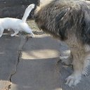  ,  -  5  2019      2019