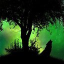 ���� �����, �������, 40 ��� - ��������� 3 ���� 2019 � ������ ���� ����������