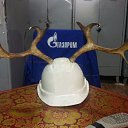 ���� �������, �������������, 45 ��� - ��������� 23 ���� 2019