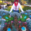 ���� �������, �����������, 70 ��� - ��������� 29 ��� 2019