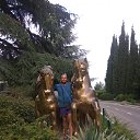 ���� -Z-�����, �����������, 45 ��� - ��������� 1 ���� 2019 � ������ ���� ����������