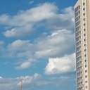  , , 50  -  13  2019   - .  