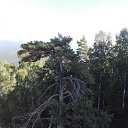 ���� -N-, ������� - ��������� 23 ������� 2019 � ������ ������-���� 2017�