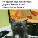 ���� �����, ���� - ��������� 4 ������� 2019 � ������ ������ ��������
