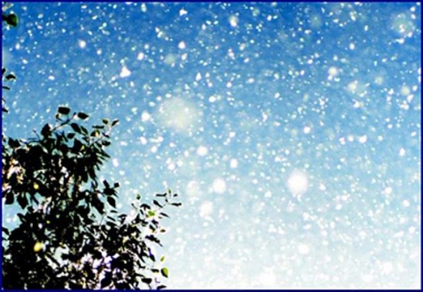 - ,  ... - ? - ,   ? -  ? -  . -  ...