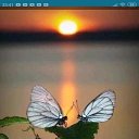 ���� �����, ���� - ��������� 10 ���� 2019 � ������ ������ ��������