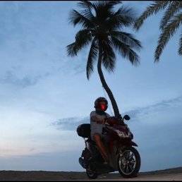 ���� �����, ���������, 37 ��� - ��������� 16 ���� 2019