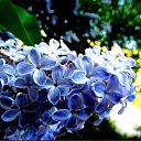 ���� ����, ����� - ��������� 26 ���� 2019 � ������ ���� ����������