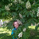 ���� ������, �����������, 68 ��� - ��������� 17 ���� 2019 � ������ ���� ����������