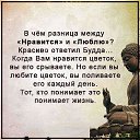 ���� �����, �����-���������, 65 ��� - ��������� 26 ���� 2019 � ������ ������ ��������