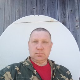 ���� ������, �����, 49 ��� - ��������� 15 ��� 2019
