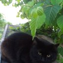 ���� ���� ������, �������������-����������, 76 ��� - ��������� 9 ������ 2019