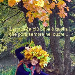 ���� �������, ������ - ��������� 20 ������� 2019