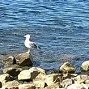 ���� �����, ���������, 57 ��� - ��������� 4 ��� 2019 � ������ ���� ����������